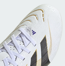 Load image into Gallery viewer, Predator Club Firm/Multi Ground Soccer Cleats