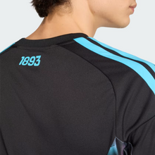 Load image into Gallery viewer, ARGENTINA 26 HOME GOALKEEPER JERSEY