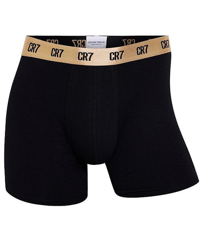 Cotton Blend 5.5" Inseam Boxer Briefs 5-Pack