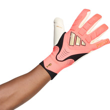 Load image into Gallery viewer, Predator Pro Goalkeeper Gloves WorldCup Edition
