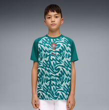 Load image into Gallery viewer, Portugal 26/27 Youth Away Warmup Jersey
