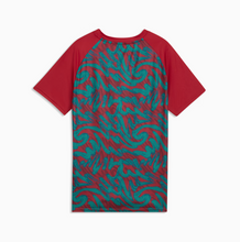 Load image into Gallery viewer, Portugal 26/27 Youth Home Warmup Jersey
