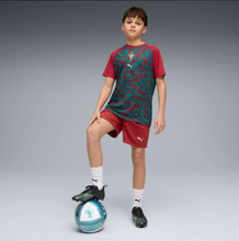 Load image into Gallery viewer, Portugal 26/27 Youth Home Warmup Jersey
