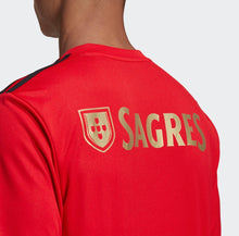 Load image into Gallery viewer, Benfica Adult 2020/21 Home Jersey
