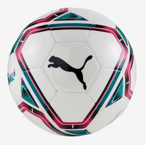 Puma Final 21.6 MS Soccer Ball (multi color)