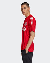 Load image into Gallery viewer, TORONTO FC TRAINING JERSEY
